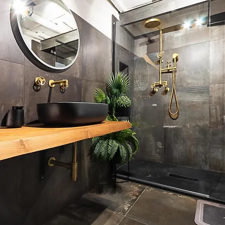 Luxury Loft Campo De Fiori 公寓 罗马