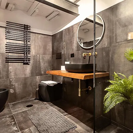Luxury Loft Campo De Fiori 公寓