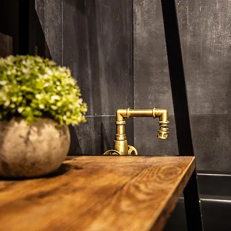 公寓 Luxury Loft Campo De Fiori *