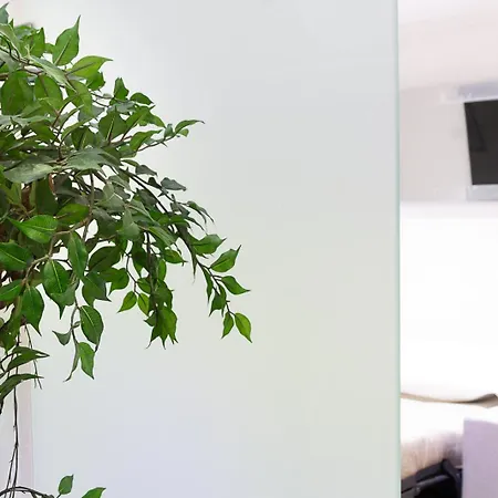 Apartman Luxury Loft Campo De Fiori *